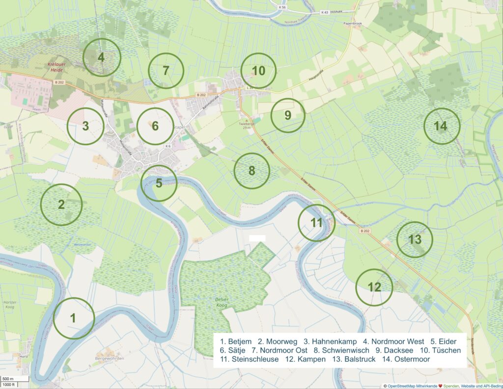 Verteilung der 14 Kuckucksreviere 2025 auf 3200 ha der Gemeinde 25879 Stapel, schematische Darstellung, einige Reviere streifenförmig